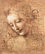 LEONARDO da Vinci Madchenkopf with confused hair oil painting